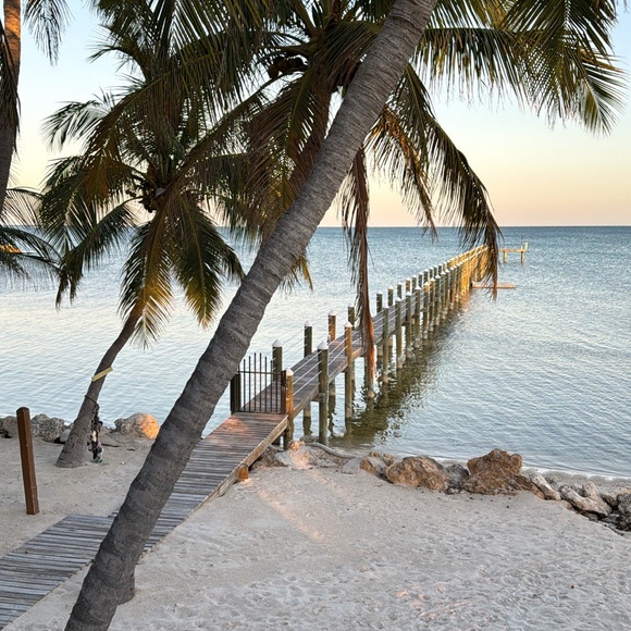 Meet your Posher, Katelyn - Picture 1 of 1